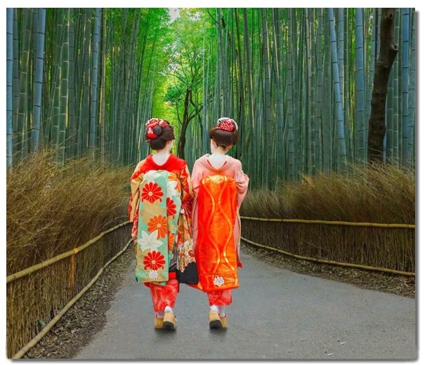 японская традиционная одежда: майко в кимоно, оби и традиционной обуви девственниц